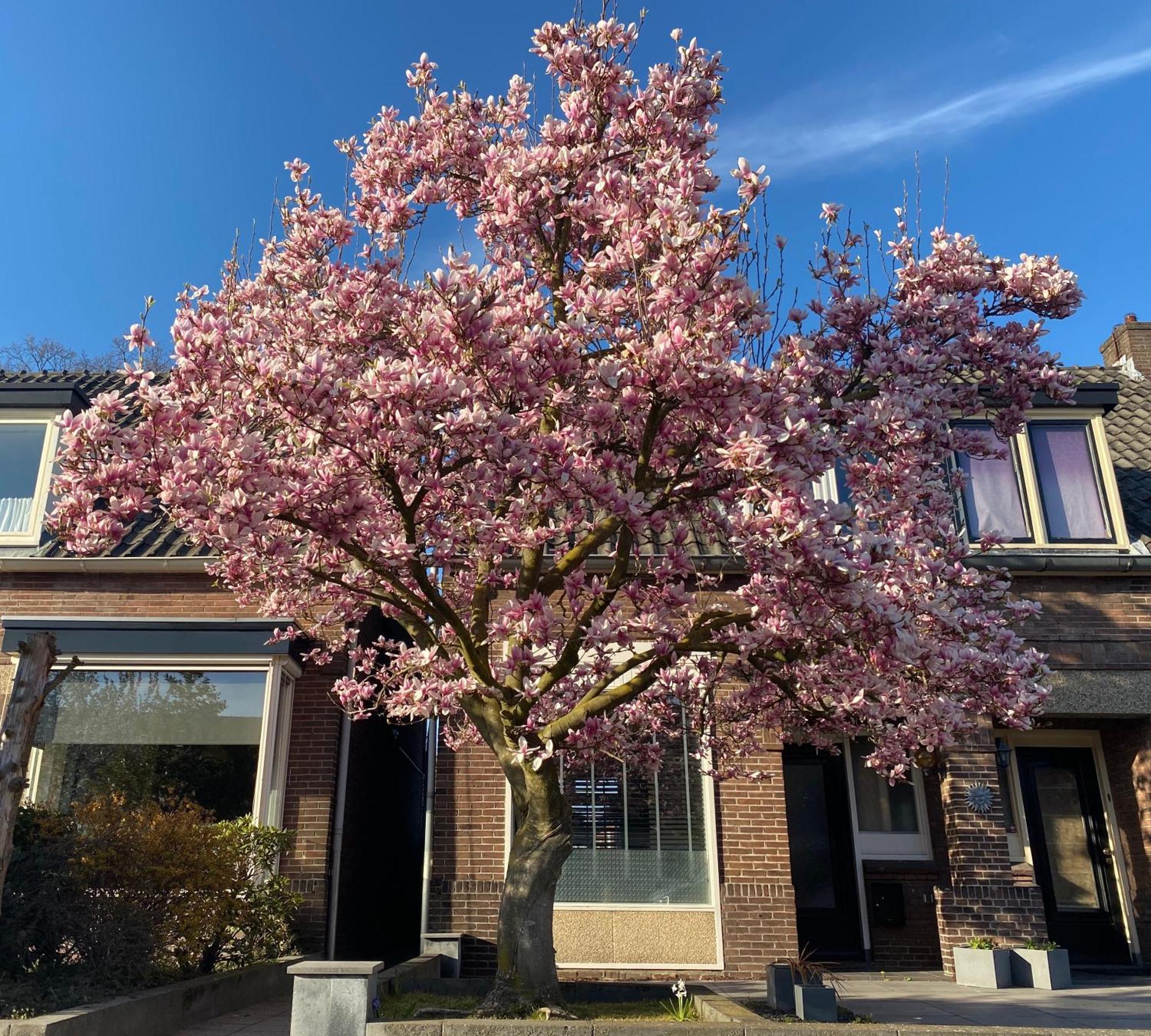Sfeervol Verblijf Nabij Centrum Almelo Esterno foto